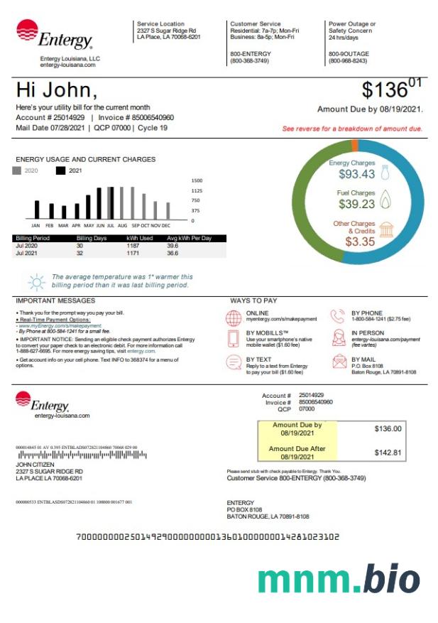 USA Louisiana Entergy rachunek za media szablon w formacie Word i PDF, Wersja 2